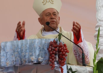 Maryja pomaga swoim czcicielom