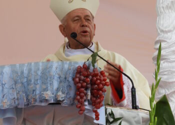 Maryja pomaga swoim czcicielom