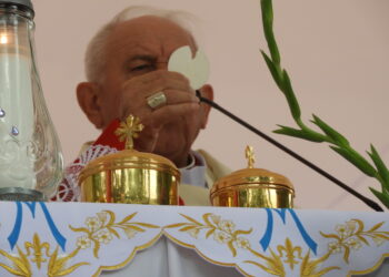 Maryja pomaga swoim czcicielom