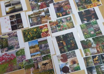 Jesień w obiektywie