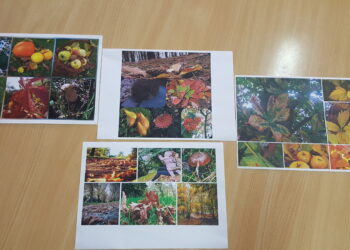 Jesień w obiektywie