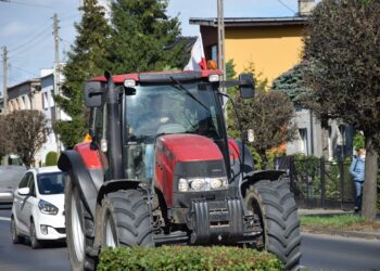 Krotoszynianie na proteście w Warszawie