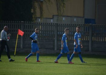 Lew poskromiony przez Astrę