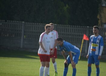 Lew poskromiony przez Astrę