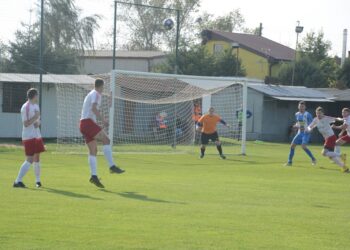 Lew poskromiony przez Astrę