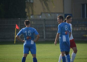 Lew poskromiony przez Astrę