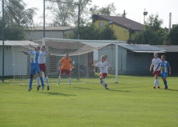 Lew poskromiony przez Astrę