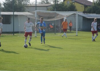 Lew poskromiony przez Astrę