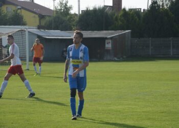 Lew poskromiony przez Astrę