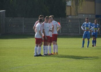 Lew poskromiony przez Astrę