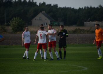 Lew poskromiony przez Astrę