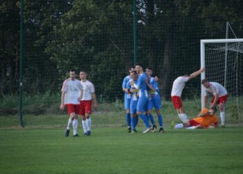 Lew poskromiony przez Astrę