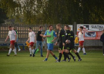 Lew poskromiony przez Astrę