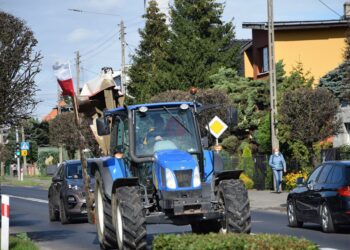 Krotoszynianie na proteście w Warszawie
