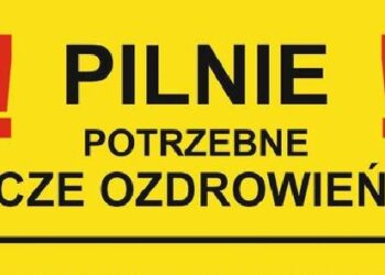 Potrzebne osocze ozdrowieńców!