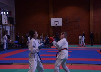 Gospodarze zdominowali zawody