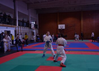 Gospodarze zdominowali zawody