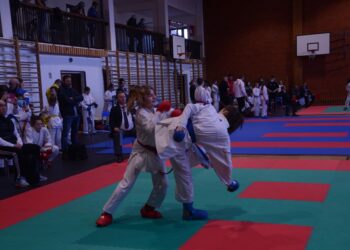 Gospodarze zdominowali zawody