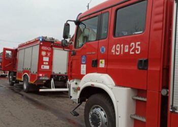 Pożar mieszkania w Kobylinie