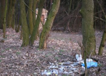 Sterta śmieci w pobliżu miejsca pamięci