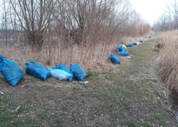 Kibice Lecha zapraszają do sprzątania!
