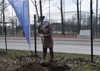 Uczcili święto Ziemi, sadząc klony