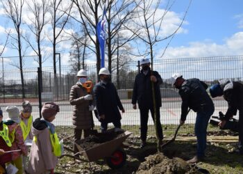 Uczcili święto Ziemi, sadząc klony