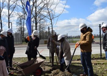 Uczcili święto Ziemi, sadząc klony