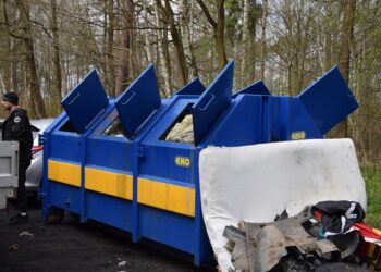 Wielka akcja sprzątania lasu