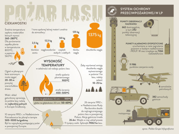Chrońmy lasy przed pożarami!