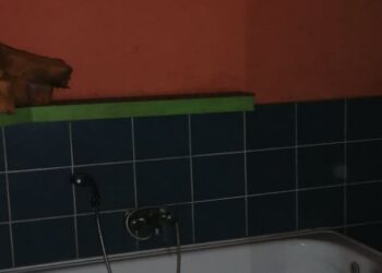 Mieszkanie dla Kasi i jej rodziny!