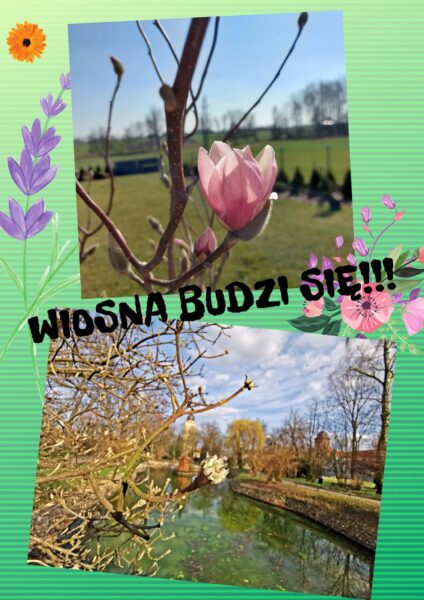 Wiosenny konkurs fotograficzny