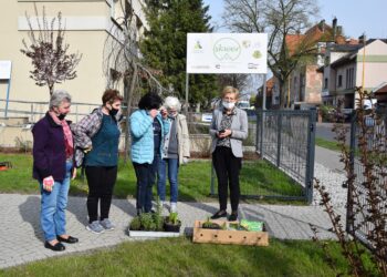 Wiosenna kosmetyka na Skwerze D-O-M