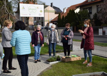 Wiosenna kosmetyka na Skwerze D-O-M