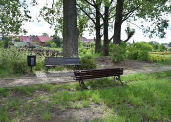 Fala dewastacji w parku miejskim!