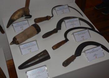 Sobotnie zwiedzanie nocną porą