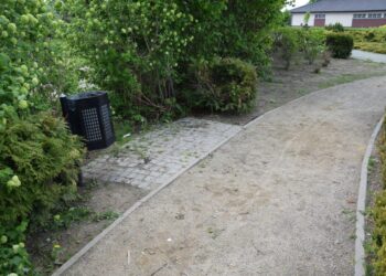 Fala dewastacji w parku miejskim!