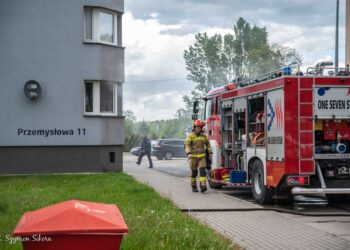 W pożarze poszkodowana została jedna osoba