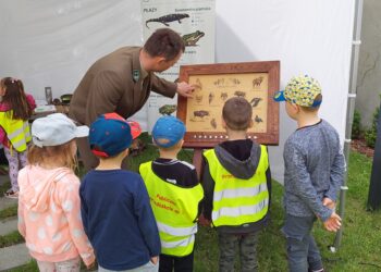 Edukacyjny piknik dla przedszkolaków