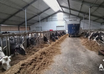 Korzyści zrzeszania producentów rolnych