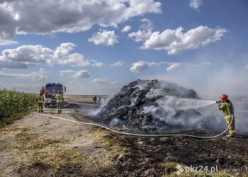 Pożar ścierniska i słomy