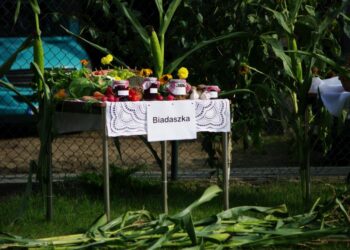 Dożynki to wielopokoleniowa tradycja