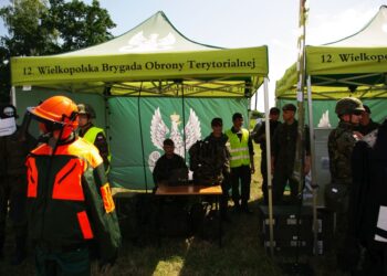 Wojsko wkroczyło do Kobylina