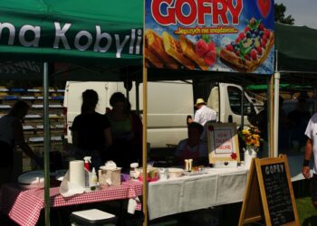 Wojsko wkroczyło do Kobylina