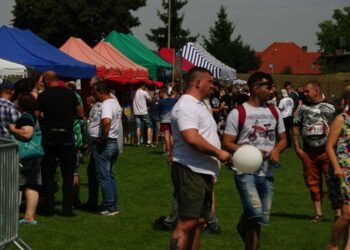 Wojsko wkroczyło do Kobylina
