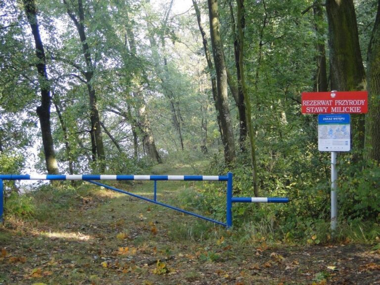 Turysto, wypoczywaj świadomie!
