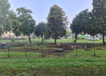 Trwa budowa placu zabaw dla psów