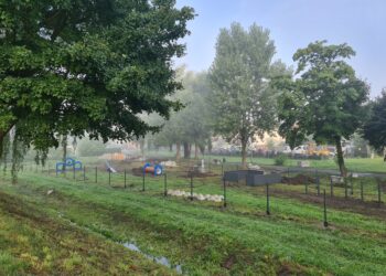 Trwa budowa placu zabaw dla psów