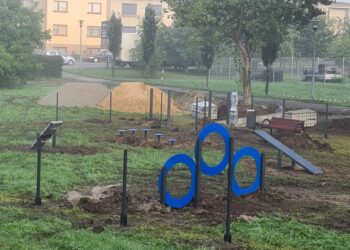 Trwa budowa placu zabaw dla psów