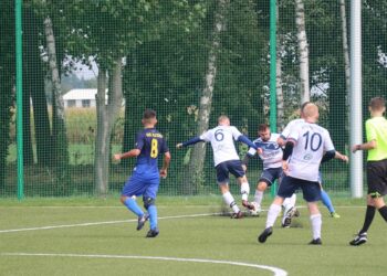 Festiwal kolorowych kartoników